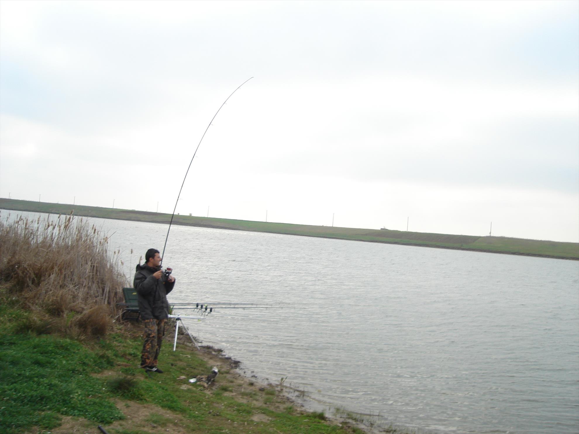 hobaia 2009 - dsc01615.JPG